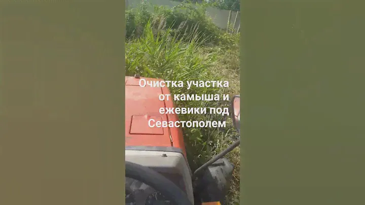 Очистка участка от зарослей под Севастополем.