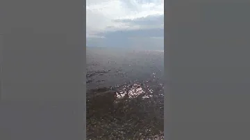Жигулевское море. Тольятти.