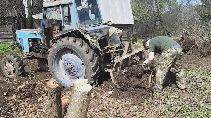 Расчистка участка от деревьев и кустов,выравнивание и посев травы.